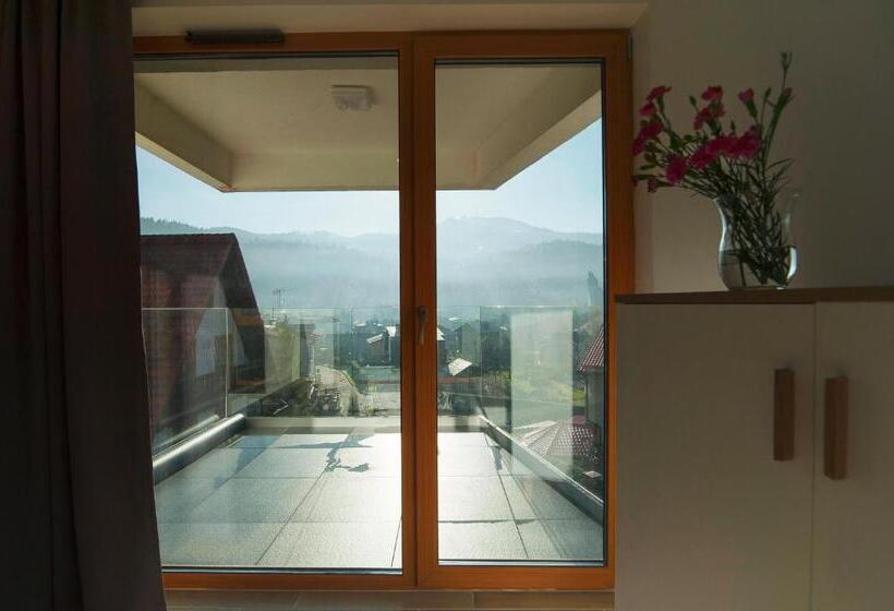 آپارتمان 1 خوابه با چشمانداز, Apartamenty Willowa