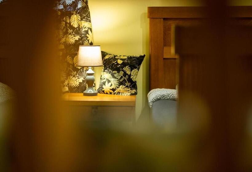 غرفة أساسية, Modryna Ranczo