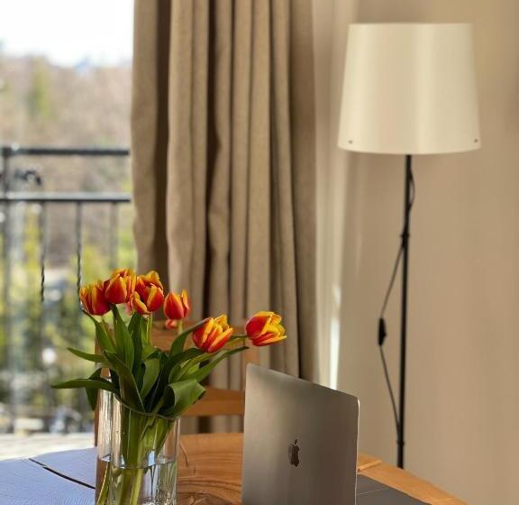 سوئیت جونیور با چشمانداز کوهستان, Beskidzkie Tarasy