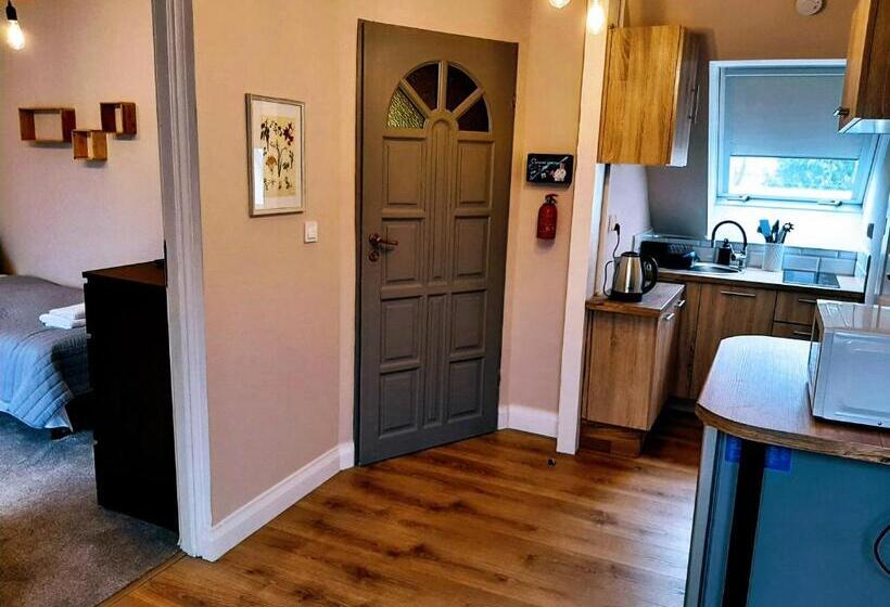 ２ベッドルームアパートメント, Drzewna Apartamenty   Kupiecka 5