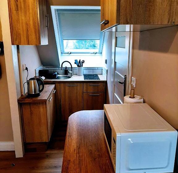 ２ベッドルームアパートメント, Drzewna Apartamenty   Kupiecka 5