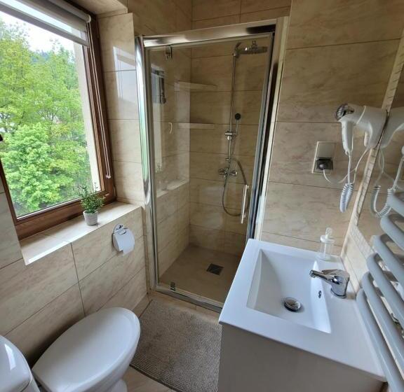 1ベッドルームのデラックスアパートメント, Willa Beskidzka