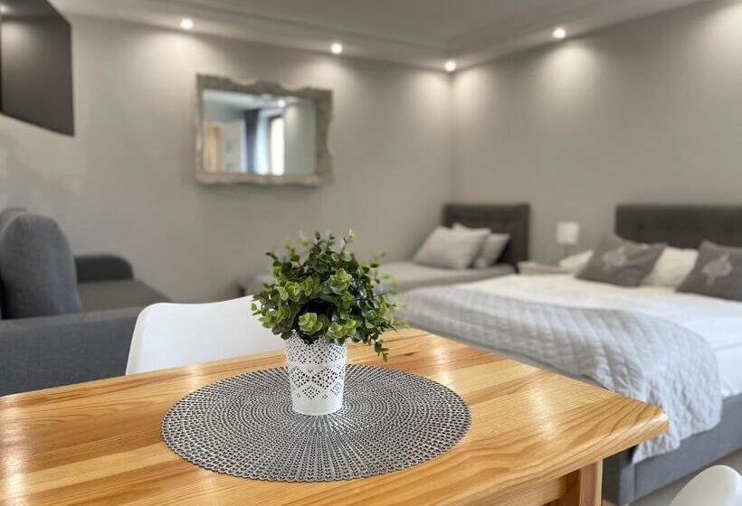 1ベッドルームのデラックスアパートメント, Willa Beskidzka