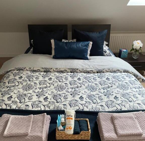 اتاق استاندارد با سرویس بهداشتی مشترک, Apartamenty Zaczarowany Ogród