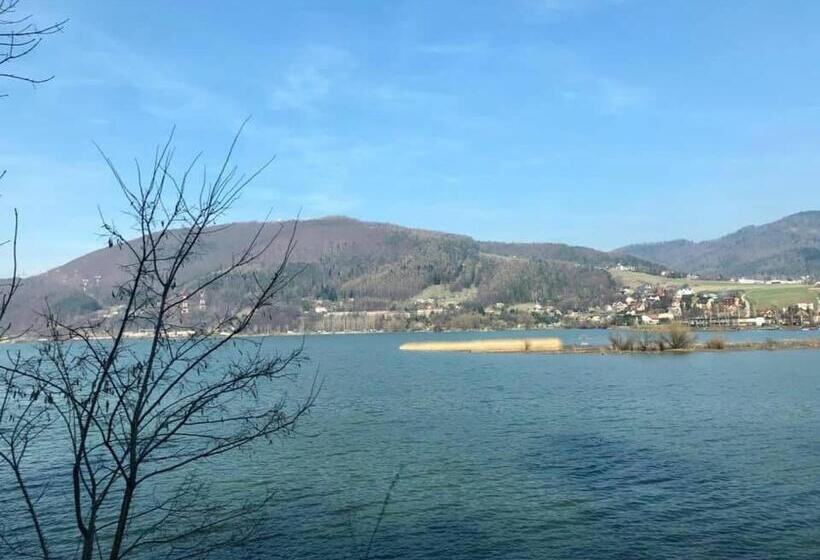 スタンダードルーム, Nasza Owczarzówka