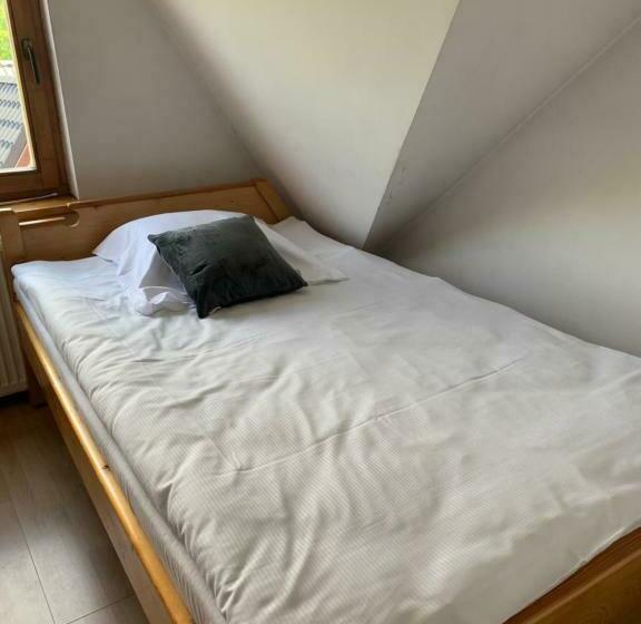اتاق استاندارد یک نفره, Przystanek Gubałówka Guest House Zakopane
