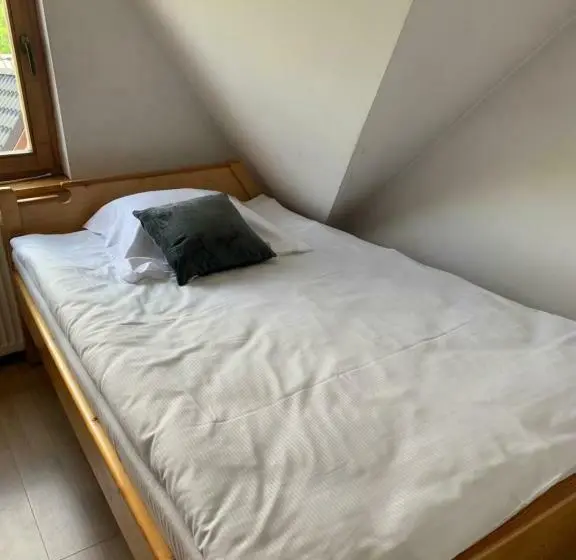 スタンダードシングルルーム, Przystanek Gubałówka Guest House Zakopane