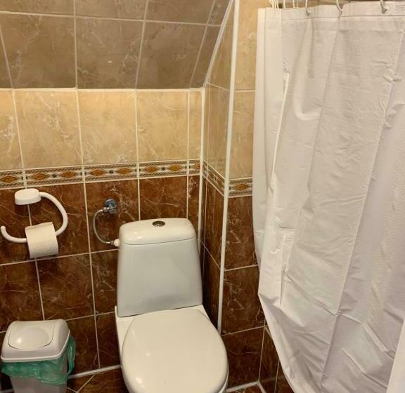 اتاق استاندارد یک نفره, Przystanek Gubałówka Guest House Zakopane