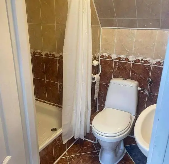 ビュー有りのスタンダードワンルーム, Przystanek Gubałówka Guest House Zakopane