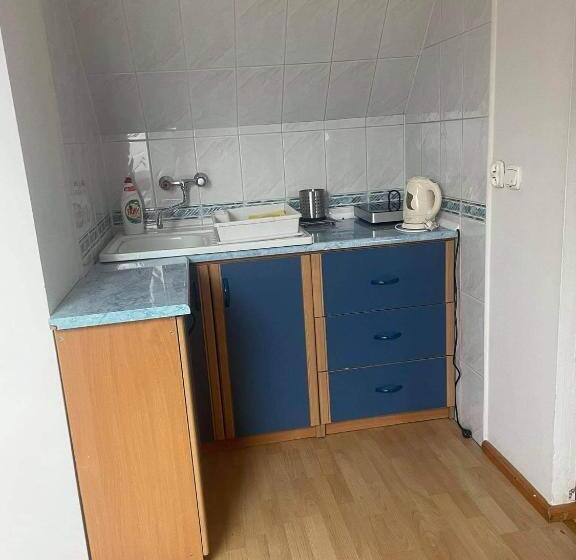 استودیو استاندارد با چشمانداز, Przystanek Gubałówka Guest House Zakopane