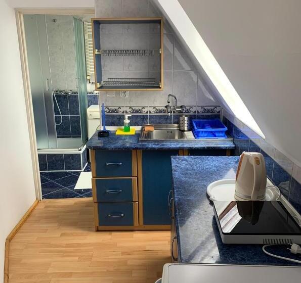 اتاق استاندارد چهار تخته, Przystanek Gubałówka Guest House Zakopane