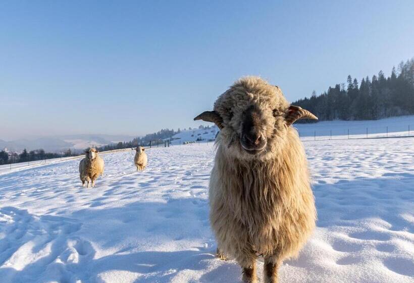 シャレー1寝室, Rezydencja Spisz Dom 12 Osób, Podgrzewany Basen, Sauna, Jacuzzi  Velo Czorsztyn, Niedzica