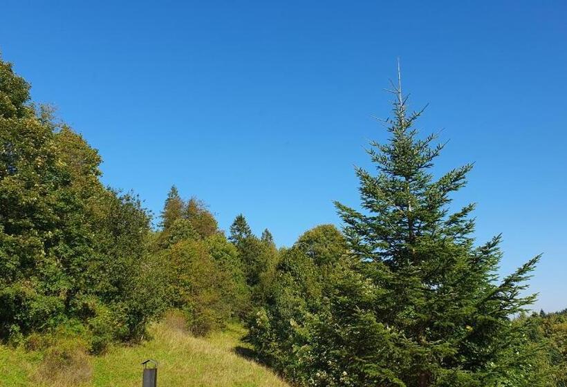 Chambre Standard, U Eli