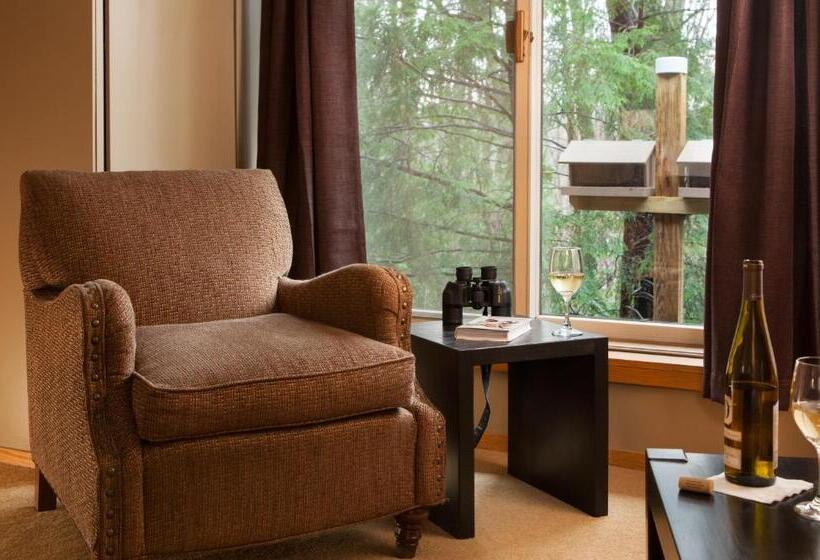 キングサイズベッドのデラックスルーム, The Inn At Honey Run