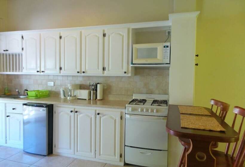 ویلای 2 خوابه با چشمانداز دریا, Grooms Beach Villa & Resort