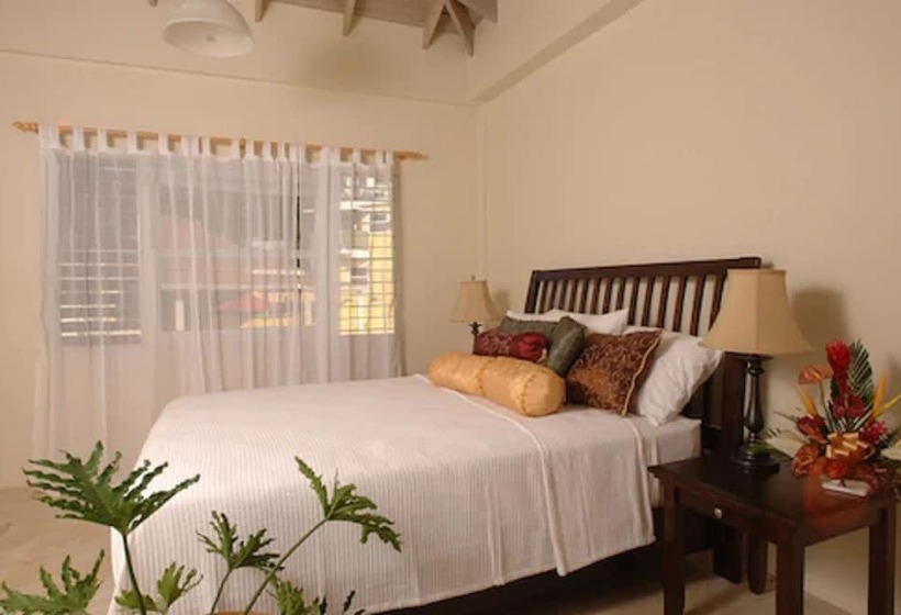 ویلای 2 خوابه با چشمانداز دریا, Grooms Beach Villa & Resort