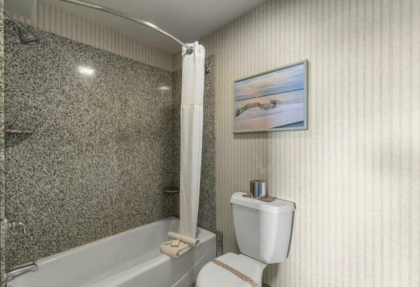 غرفة قياسية سرير كينج, Surf And Sand Lodge