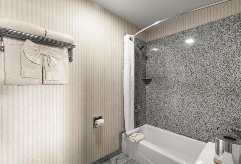 غرفة قياسية مطلّة علي البحر, Surf And Sand Lodge