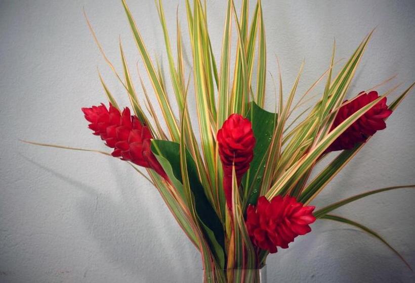 اتاق لوکس, Tim Bamboo