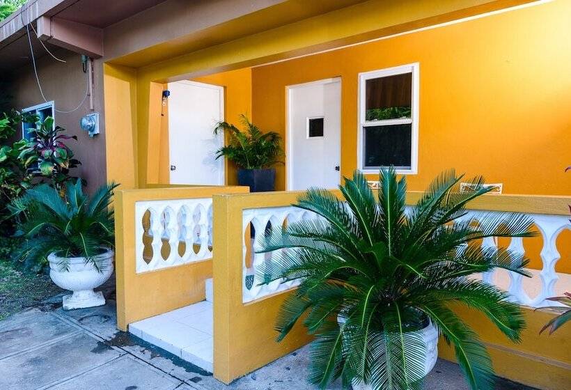 خانه 3 خوابه, Tim Bamboo