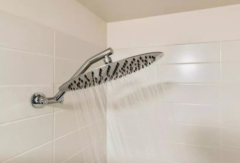 استودیوی استاندارد, Terminus Apartment Hotel, Ascend Hotel Collection