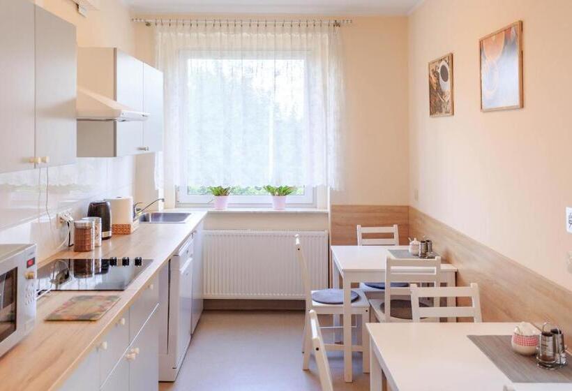 Номер Стандарт Четырехместный Совместный Санузел, Botanik Hostel