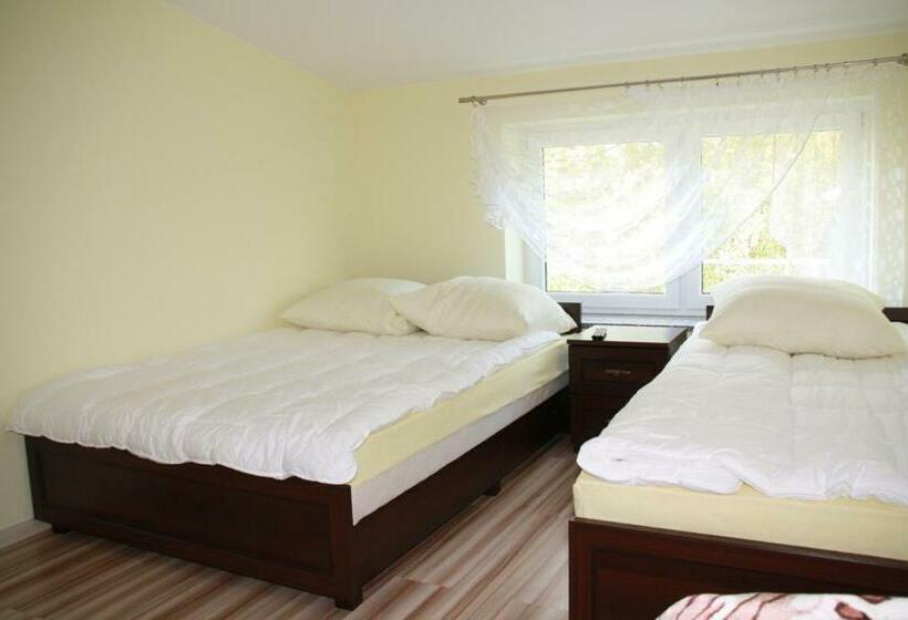 اتاق استاندارد, For You