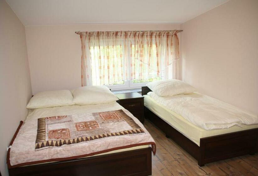 اتاق استاندارد, For You