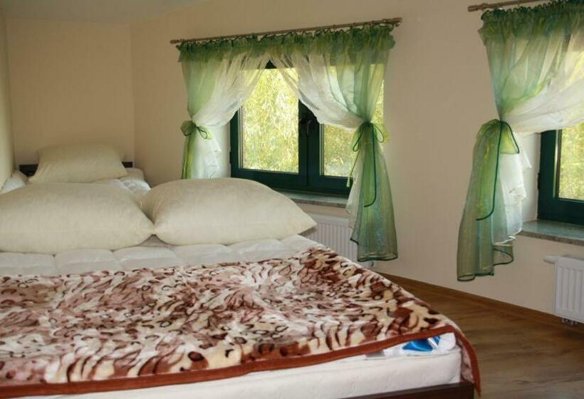 اتاق استاندارد, For You