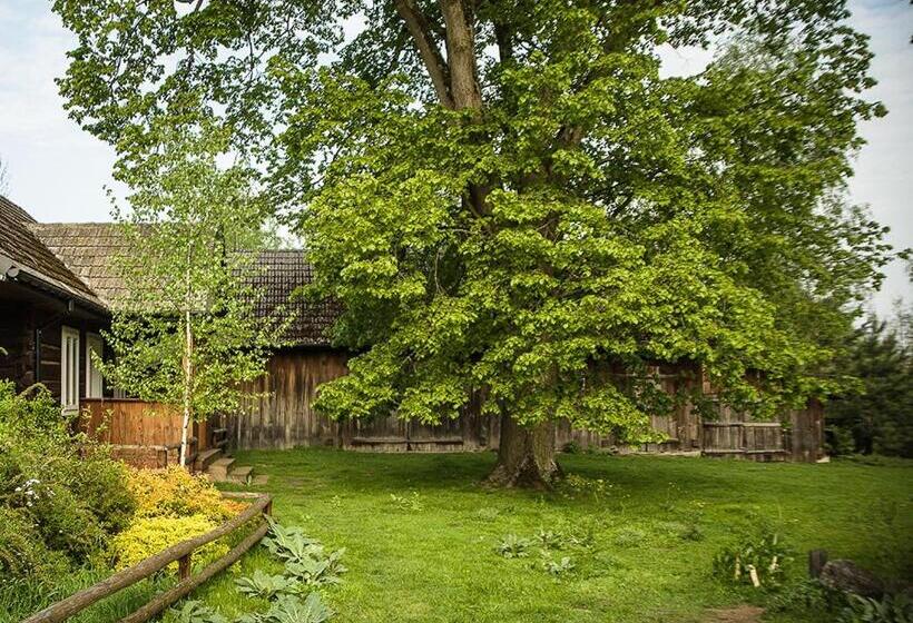 جناح عائلي, Grenlanda