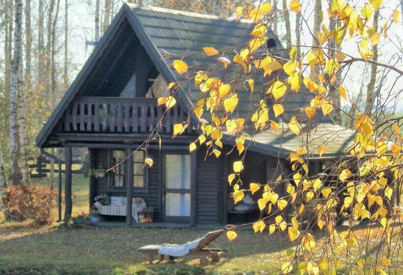 בקתת חדר, Wieża Marzeń