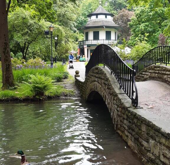 וילה עם 4 חדרי שינה, Villove Domy Spa