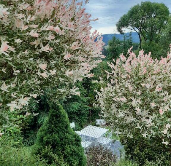 וילה עם 4 חדרי שינה, Villove Domy Spa