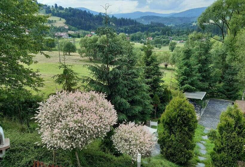 וילה עם 4 חדרי שינה, Villove Domy Spa