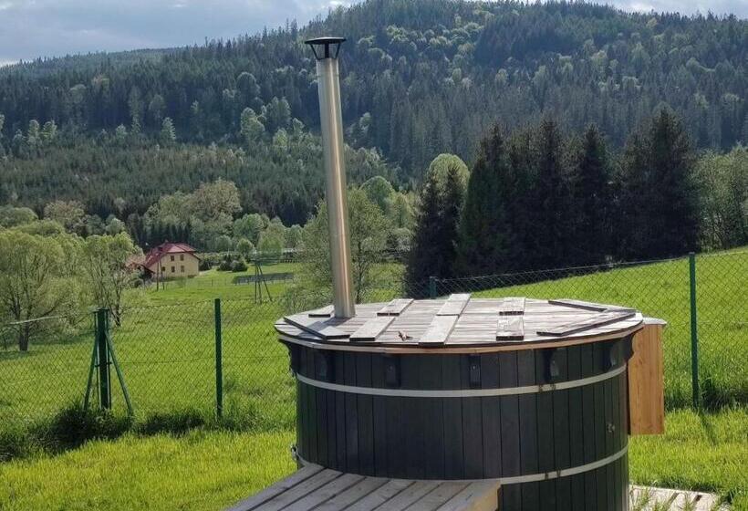Дом 4 Спальни, Villove Domy Spa