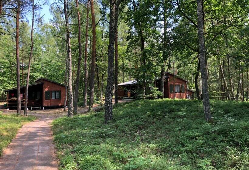 Бунгало Стандарт, Leśnik Bungalow Stegna   Domki Letniskowe Nad Morzem