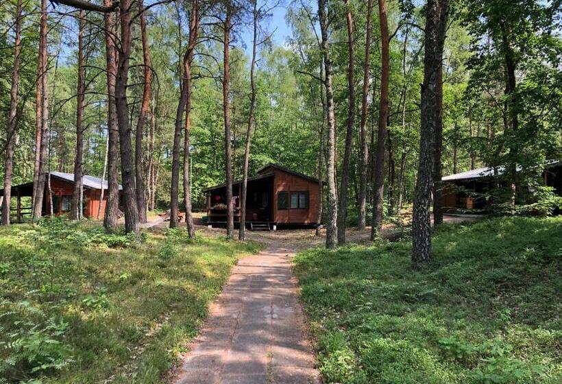 Бунгало Стандарт, Leśnik Bungalow Stegna Domki Letniskowe Nad Morzem