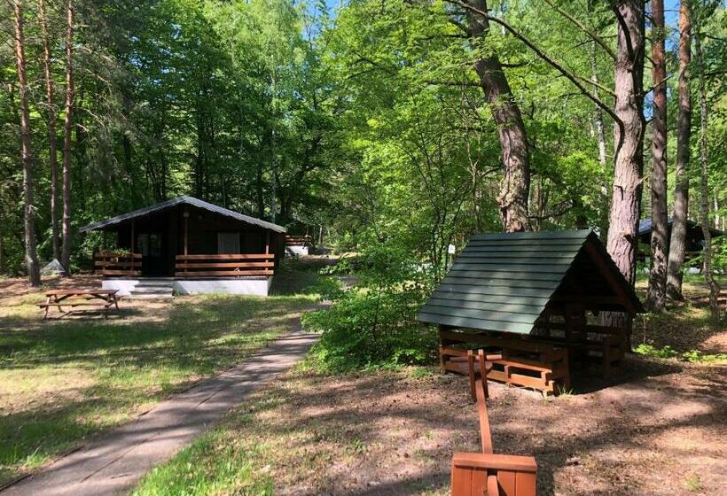 Бунгало Стандарт, Leśnik Bungalow Stegna Domki Letniskowe Nad Morzem