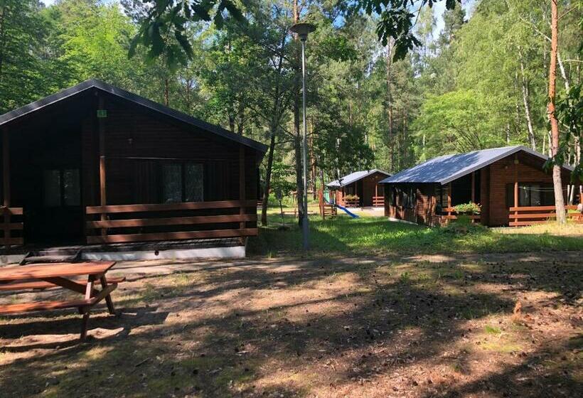 Бунгало Стандарт, Leśnik Bungalow Stegna Domki Letniskowe Nad Morzem