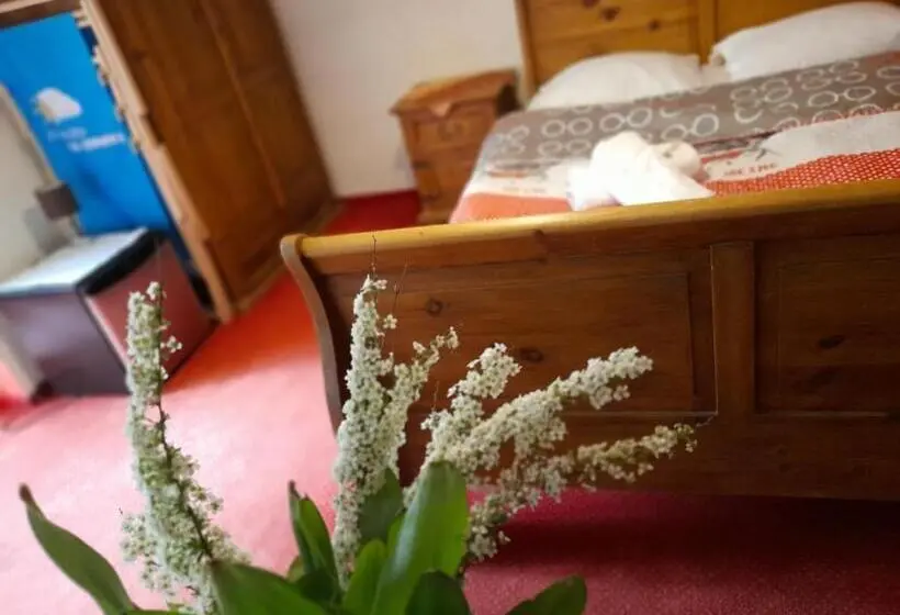 Deluxe-huone Parveke, Zajazd Pod Chmurką