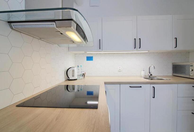 דירה בת חדר שינה 1 עם מרפסת, Apartments In   Podgórna