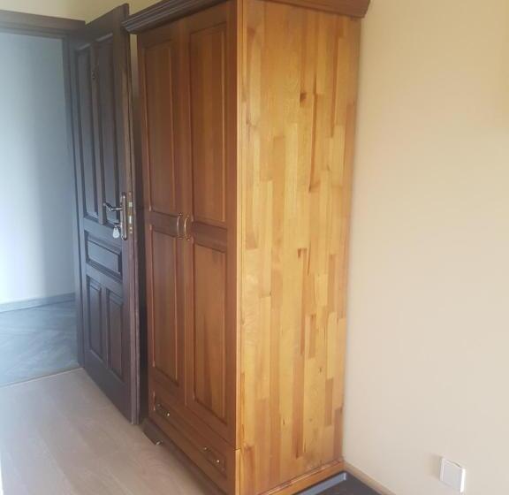 景色の見える一ベッドルームアパートメント, Dom Malowany