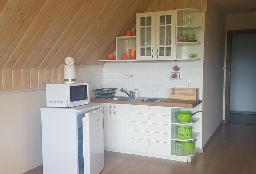 景色の見える一ベッドルームアパートメント, Dom Malowany