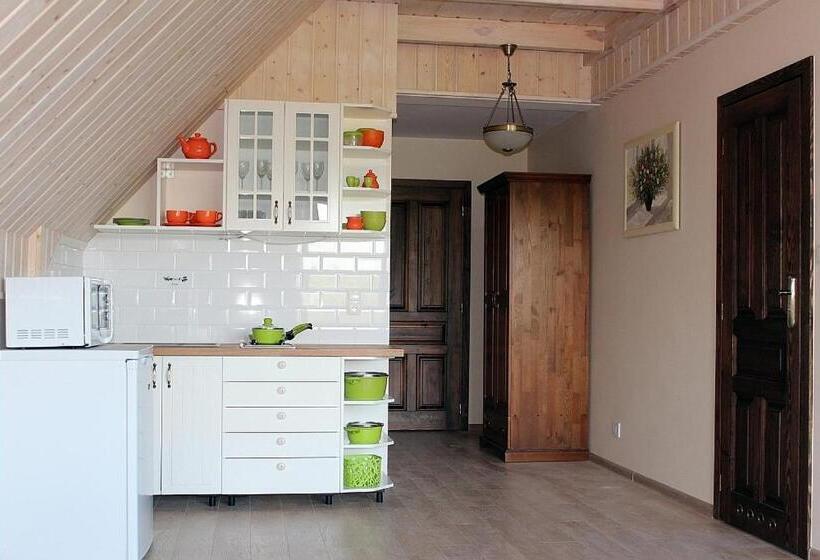 景色の見える一ベッドルームアパートメント, Dom Malowany