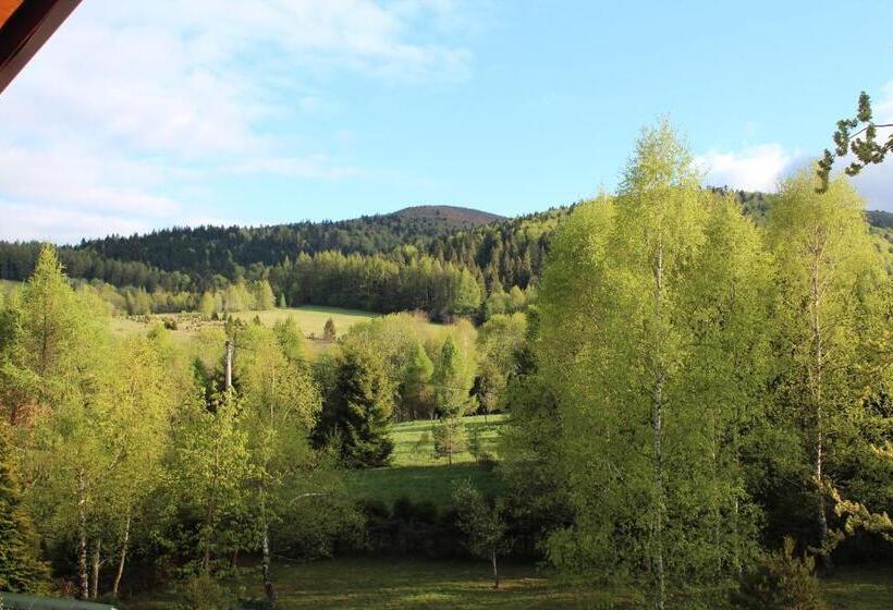 スタンダードルーム, Dom Malowany