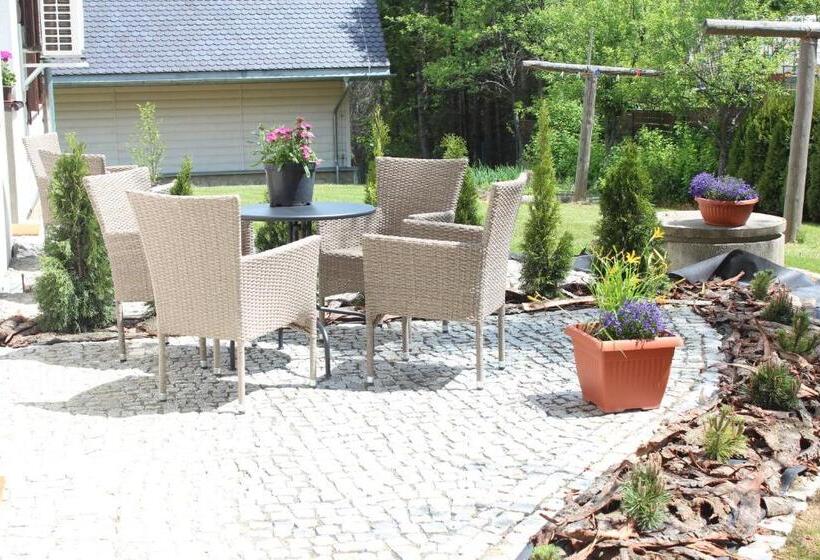 スタンダードルーム, Dom Malowany