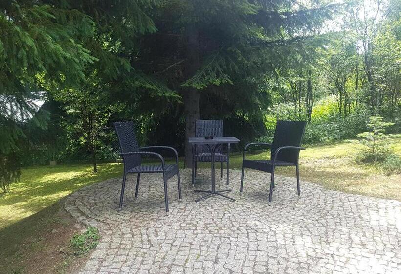 キングサイドベッドのスタンダードワンルーム, Dom Malowany