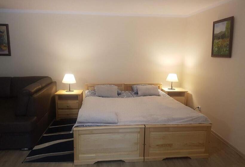 キングサイドベッドのスタンダードワンルーム, Dom Malowany