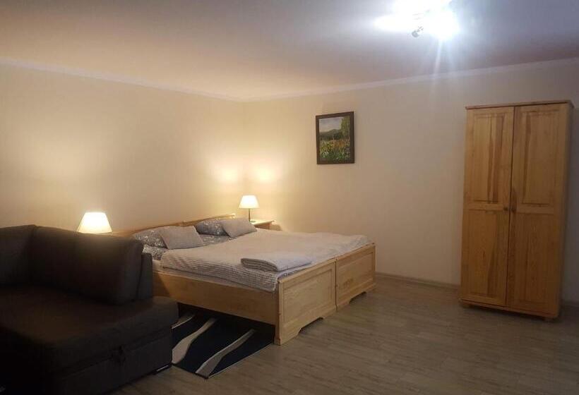 キングサイドベッドのスタンダードワンルーム, Dom Malowany