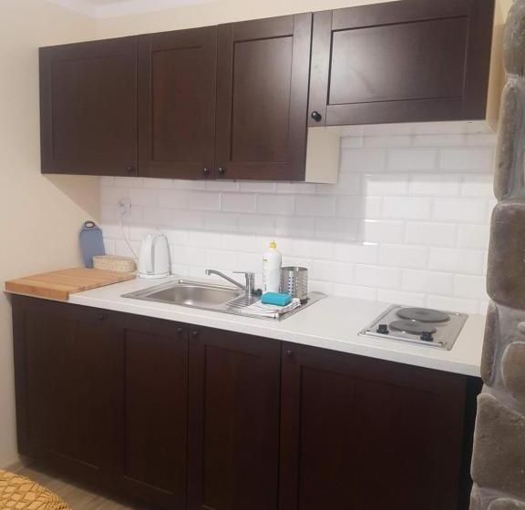 キングサイドベッドのスタンダードワンルーム, Dom Malowany